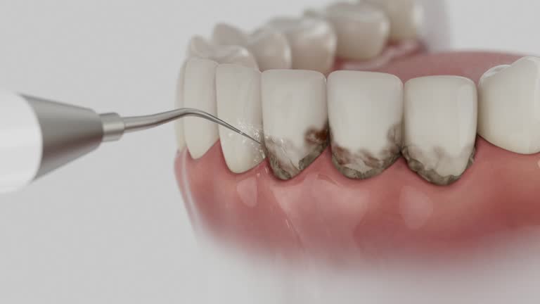 Reliable Dental contractor in Willis, TX by Dentist Open Now